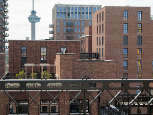 Real estate in LITTLE C — look at the real estate search engine GEOLN.COM. Photo 3