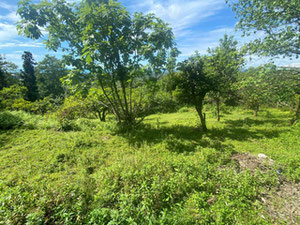 Будинок в Квирике — Пошуковик нерухомості від забудовників і власників GEOLN.COM. Фото 14