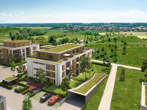 უძრავი კონება DAILY HOME — გადახედეთ უძრავი ქონების საძიებო სისტემას GEOLN.COM. ფოტო 3