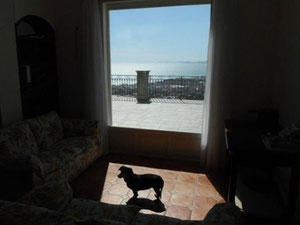 意大利瓦莱克罗西亚的海边别墅 — 来自开发商和业主的房地产搜索引擎 GEOLN.COM. 照片 4