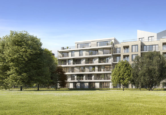 The Arbor Collection