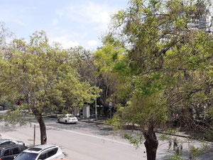 Isani的2间卧室的公寓。伊萨尼第比利斯廉价公寓 — 来自开发商和业主的房地产搜索引擎 GEOLN.COM. 照片 13