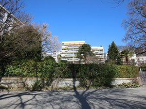 ტბის პირას ბინა მონტრეში, შვეიცარია — უძრავი ქონების ყიდვა და მფლო ბელებისგან GEOLN.COM. ფოტო 3