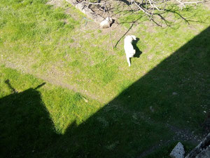 Kakheti Sighnaghi'deki ev — Sahiplerden yada inşaatcilardan mülkiyet arama GEOLN.COM. Fotoğraf 2