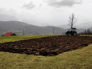 مونتينيغرو. على بعد 9 كم من موكوفات في اتجاه بييلو بولي، يتم بيع عقار ريفي بمساحة 3.1 هكتار. — ابحث عن عقار قيد الإنشاء أو عقار معاد بيعه مباشرة من المطورين والملاك GEOLN.COM. صورة فوتوغرافية 3