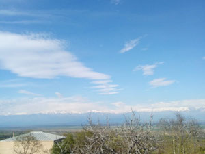 Kakheti Sighnaghi'deki ev — Sahiplerden yada inşaatcilardan mülkiyet arama GEOLN.COM. Fotoğraf 5