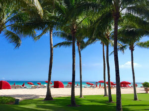 Недвижимость в ESTATES AT ACQUALINA — смотрите на поисковике недвижимости GEOLN.COM. Фото 2