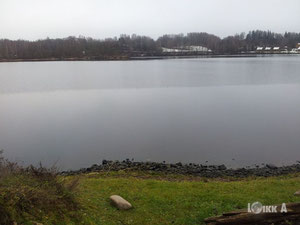 拉脱维亚，Skriveri 地区，Skriveri 出售的地块 — 来自开发商和业主的房地产搜索引擎 GEOLN.COM. 照片 8