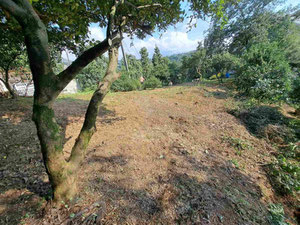 Plot in Makhinjauri with sunset view — Find off-plan property or real estate resale directly from developers and owners GEOLN.COM. Photo 9
