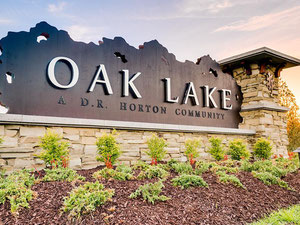 房地产在 Oak Lake — look at the real estate search engine GEOLN.COM. 照片 5