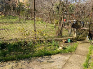 בית בבאטומי — חיפוש נדל"ן מפרטי ומקבלן GEOLN.COM. תמונה 3