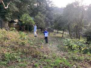 Ділянка — Пошуковик нерухомості від забудовників і власників GEOLN.COM. Фото 2