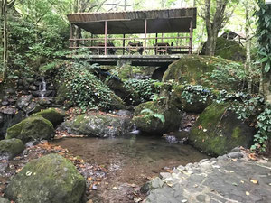 山间餐厅。提克纳斯 — 来自开发商和业主的房地产搜索引擎 GEOLN.COM. 照片 19