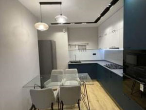 Просторная квартира с отличным ремонтом — Поисковик недвижимости от застройщиков и собственников GEOLN.COM. Фото 11