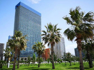 奥比海滩塔公寓 — 来自开发商和业主的房地产搜索引擎 GEOLN.COM. 照片 14