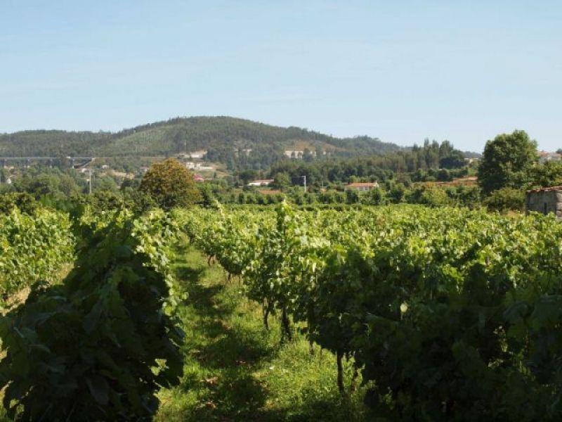 Дом в деревне в Португалии, Порту Продажа — Поисковик недвижимости от застройщиков и собственников GEOLN.COM. Фото 1