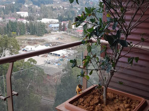 Квартира на продажу в Dreamland Oasis — Пошуковик нерухомості від забудовників і власників GEOLN.COM. Фото 7