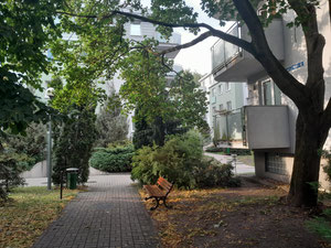 Ремонтированная квартира 55 кв. м. в самом центре Гродзиска-Мазовецкого. — Поисковик недвижимости от застройщиков и собственников GEOLN.COM. Фото 13