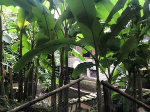 山间餐厅。提克纳斯 — 来自开发商和业主的房地产搜索引擎 GEOLN.COM. 照片 5