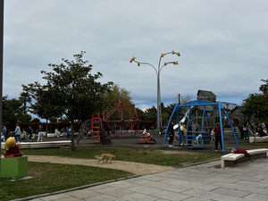 Apartment — Find off-plan property or real estate resale directly from developers and owners GEOLN.COM. Photo 20