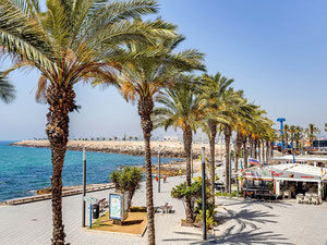 顶层公寓 1 卧室 43 m² 在托雷维耶哈, 西班牙 — 来自开发商和业主的房地产搜索引擎 GEOLN.COM. 照片 21