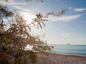 Таунхаус 3 спальні 159 м² у Вільяхойосі, Іспанія — Пошуковик нерухомості від забудовників і власників GEOLN.COM. Фото 14