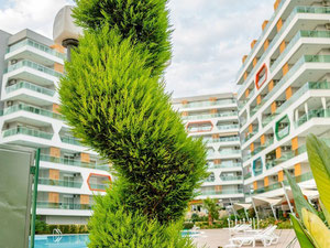 公寓 38 平方米，位于土耳其阿拉尼亚 — 来自开发商和业主的房地产搜索引擎 GEOLN.COM. 照片 3