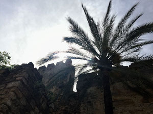 公寓 2 间卧室 149 m² 在 Centro, 西班牙 — 来自开发商和业主的房地产搜索引擎 GEOLN.COM. 照片 5