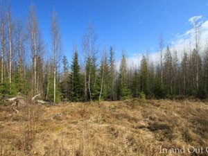 Земельна ділянка біля озера у Фінляндії, Раут'ярві Продаж — Пошуковик нерухомості від забудовників і власників GEOLN.COM. Фото 2