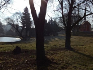 捷克共和国，皮尔森地区，戈尔索夫斯基锡出售的房子 — 来自开发商和业主的房地产搜索引擎 GEOLN.COM. 照片 5