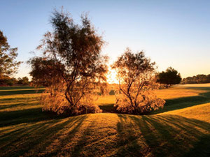 Bungalow 2 bedrooms 61 m² in Pilar de la Horadada, Spain — Find off-plan property or real estate resale directly from developers and owners GEOLN.COM. Photo 17