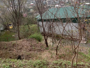 Gonio 的橘园地块 — 来自开发商和业主的房地产搜索引擎 GEOLN.COM. 照片 5