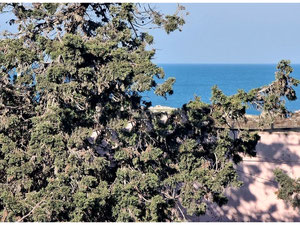 Набережна вілла — Пошуковик нерухомості від забудовників і власників GEOLN.COM. Фото 2