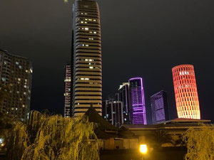 出售 Alliance Palace 的公寓 — 来自开发商和业主的房地产搜索引擎 GEOLN.COM. 照片 11