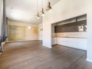 匈牙利。布达佩斯。新装修公寓，144平方米，位于市中心。 — 来自开发商和业主的房地产搜索引擎 GEOLN.COM. 照片 12