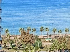 海景公寓。黑色框架。 — 来自开发商和业主的房地产搜索引擎 GEOLN.COM. 照片 4