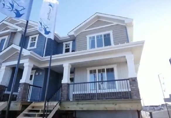 Starling at Big Lake