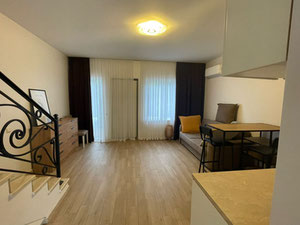 在巴图米出租的房屋/别墅 — 来自开发商和业主的房地产搜索引擎 GEOLN.COM. 照片 8