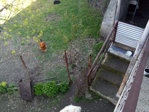 Kakheti Sighnaghi'deki ev — Sahiplerden yada inşaatcilardan mülkiyet arama GEOLN.COM. Fotoğraf 6