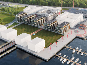 უძრავი კონება Vesilennuki majad — გადახედეთ უძრავი ქონების საძიებო სისტემას GEOLN.COM. ფოტო 3