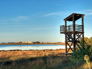 Wohnungen in Spanien, Valencia, Rojales — Immobilien-Suchservice von Bauträgern und Eigentümern GEOLN.COM. Foto 16