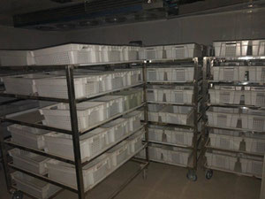 Продаж комерційної нерухомості — Пошуковик нерухомості від забудовників і власників GEOLN.COM. Фото 8