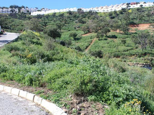 西班牙、安达卢西亚、马贝拉的海边土地 — 来自开发商和业主的房地产搜索引擎 GEOLN.COM. 照片 6