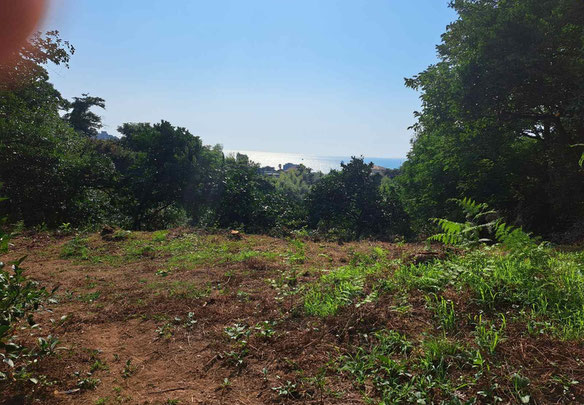 Ділянка в Махінджаурі з видом на захід сонця