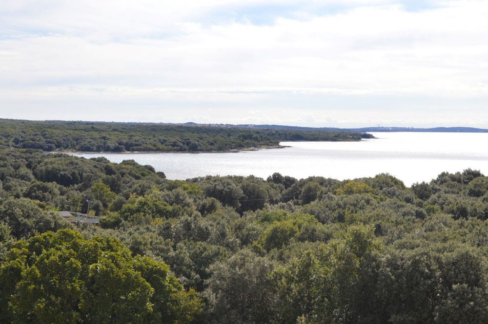 克罗地亚海边的公寓，法扎纳 — 来自开发商和业主的房地产搜索引擎 GEOLN.COM. 照片 1