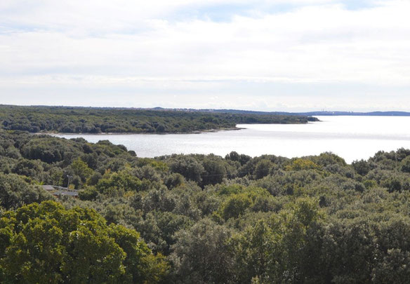 Apartment by the sea in Croatia, Fazana