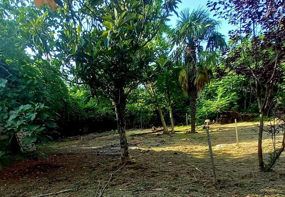 Land for sale in Kobuleti near the sea