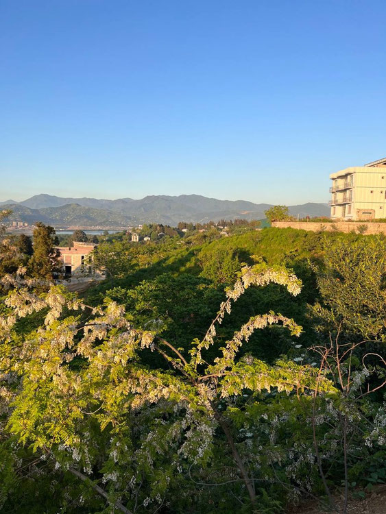 降落在 Gonio Gonio — 来自开发商和业主的房地产搜索引擎 GEOLN.COM. 照片 1