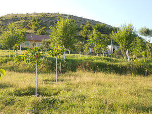 FOR SALE HOUSE AND LAND — Find off-plan property or real estate resale directly from developers and owners GEOLN.COM. Photo 6