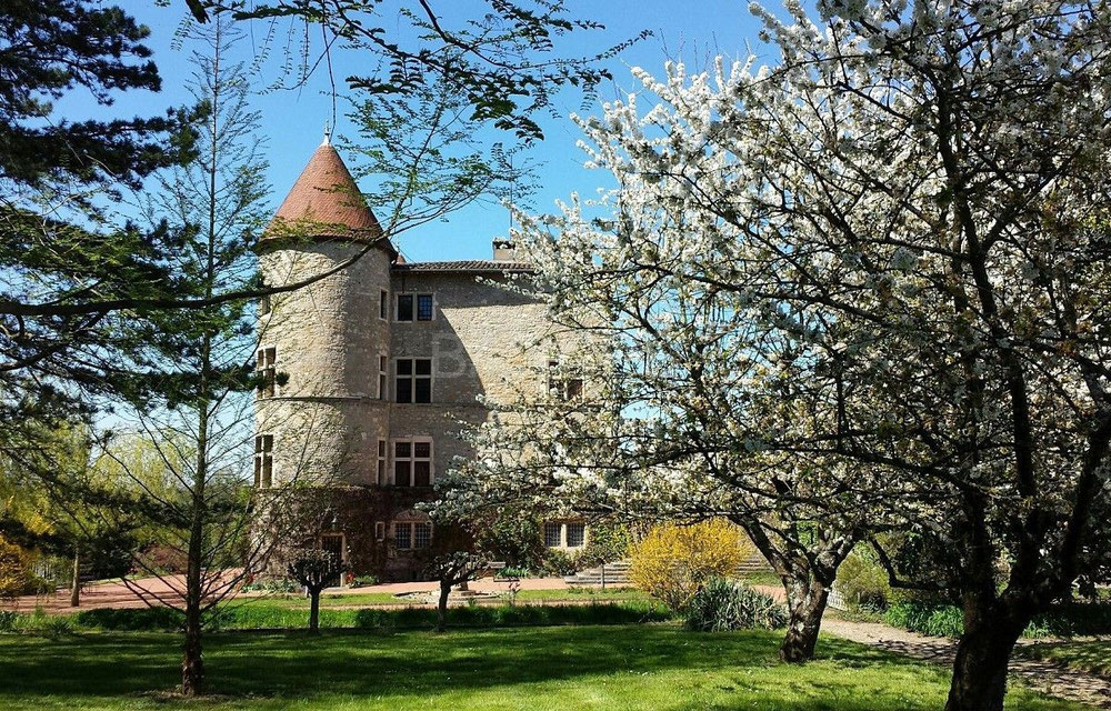 城堡在法国，奥弗涅，艺术河畔 Forment — 来自开发商和业主的房地产搜索引擎 GEOLN.COM. 照片 1